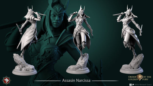 Assasin Narcissa | Order Of The Golden Fury | Multiple Scales | Resin 3D Printed Miniature | White Werewolf Tavern | RPG | D&D | DnD