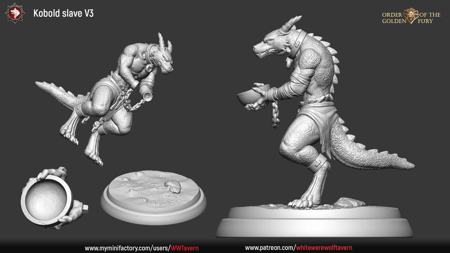 Kobold Slaves | Order Of The Golden Fury | Resin 3D Printed Miniature | White Werewolf Tavern | RPG | D&D | DnD