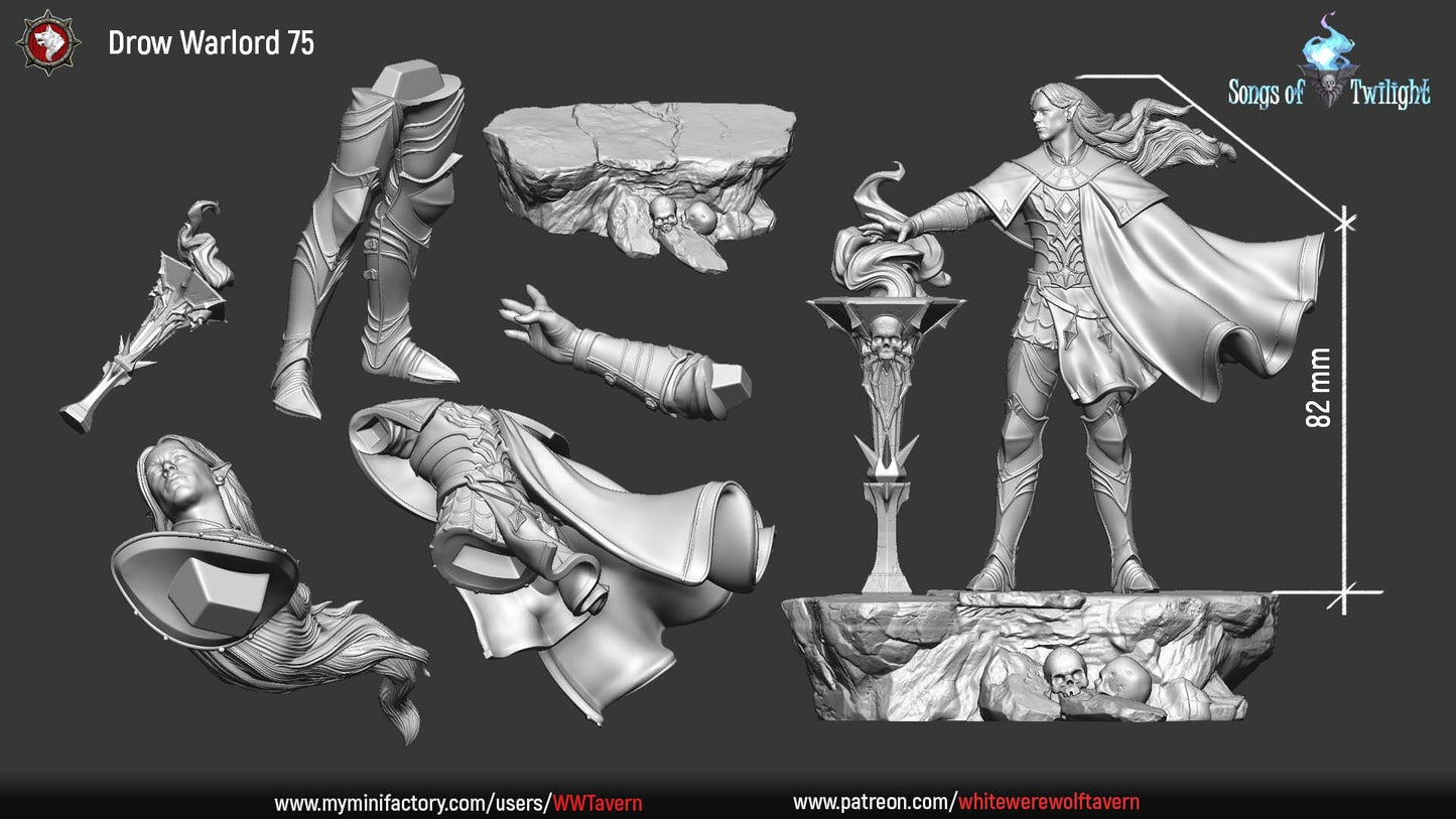 Drow Warlord | Songs Of Twilight | Multiple Scales | Resin 3D Printed Miniature | White Werewolf Tavern | RPG | D&D | DnD