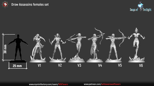 Drow Assassins Females set | Songs Of Twilight | Resin 3D Printed Miniature | White Werewolf Tavern | RPG | D&D | DnD