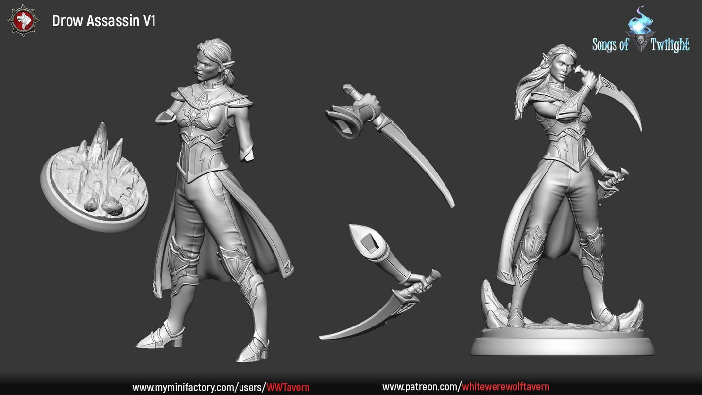 Drow Assassins Females set | Songs Of Twilight | Resin 3D Printed Miniature | White Werewolf Tavern | RPG | D&D | DnD