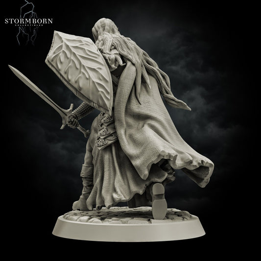 Elven Warrior | Noble / Prince | 28mm - 120mm scale | Resin 3D Printed Miniature | RPG | DND | Stormborn Collectibles