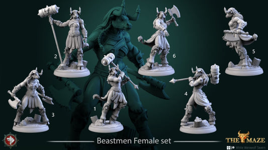Beastwomen | The Maze | Resin 3D Printed Miniature | White Werewolf Tavern | RPG | D&D | DnD