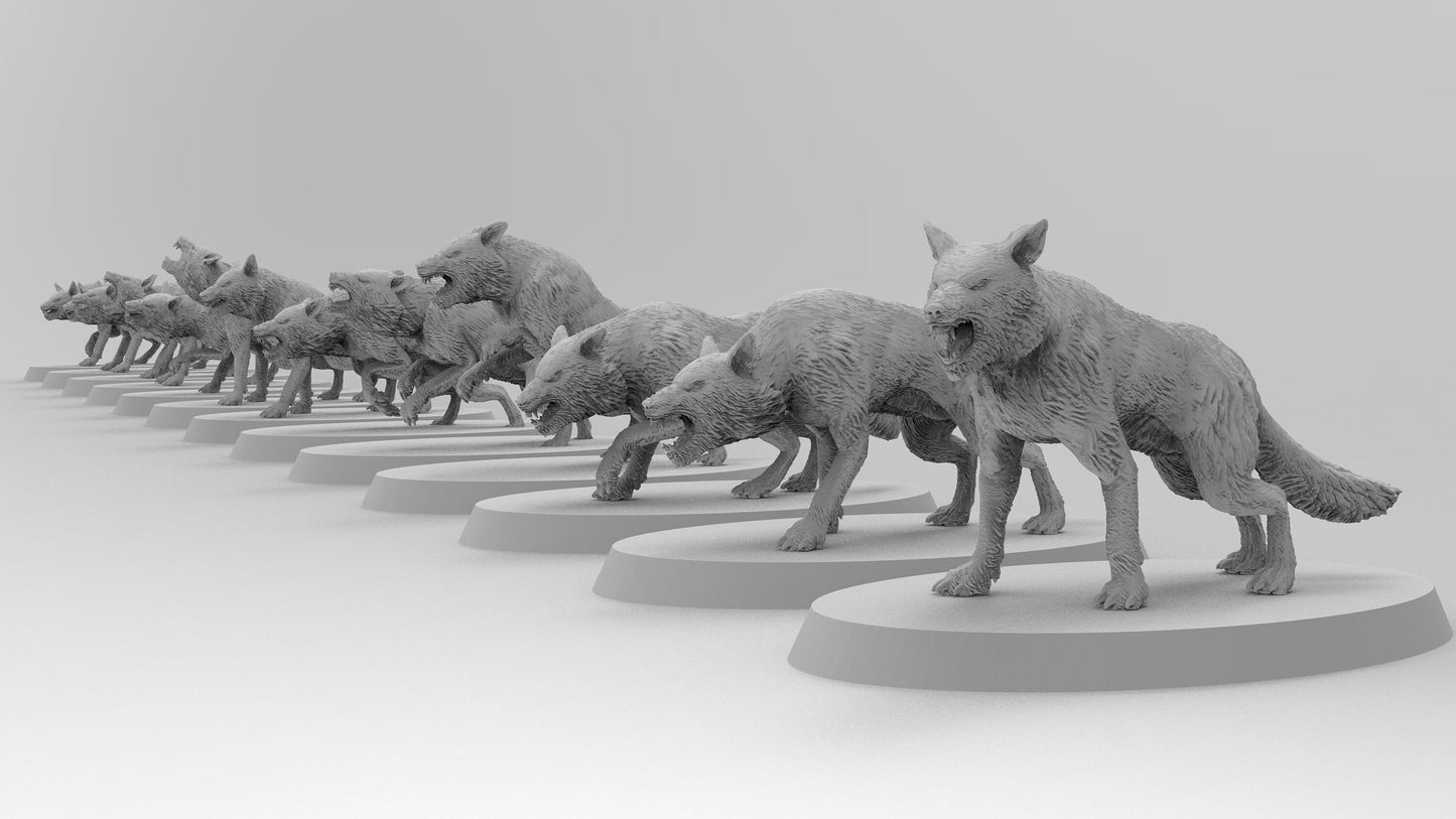 Wolfpack | No Saddles | Resin 3D Printed Miniatures | EmanG | Table Top Gaming | RPG | D&D | Pathfinder