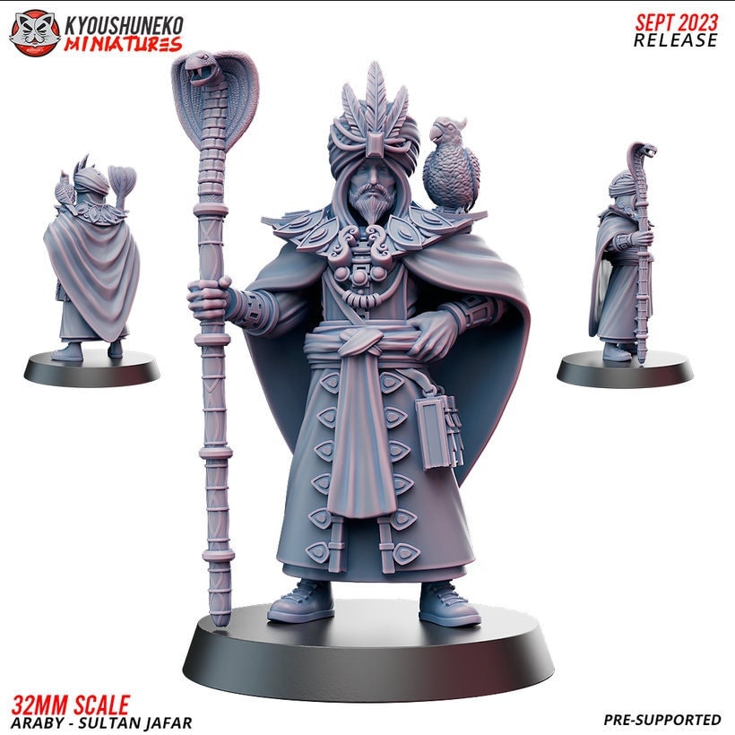 Arabian Wizard with Parrot | Araby| Resin 3D Printed Miniatures | Kyoushuneko | Table Top Gaming | RPG | D&D | Pathfinder