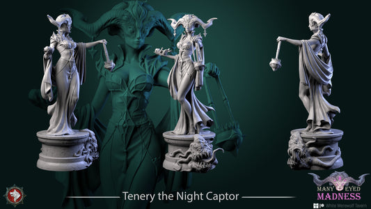 Tenery The Night Captor | Many Eyed Madness | Multiple Scales | Resin 3D Printed Miniature | White Werewolf Tavern