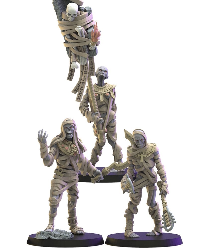 Damned Regiment | Undying Dynasties | Lost Kingdom Miniatures | Warhammer Proxy | Kings of War | RPG | D&D | Tabletop