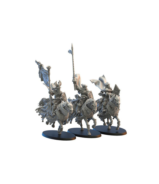 Calix Knights Command Group | Kingdom of Mercia | Lost Kingdom Miniatures | Warhammer Proxy | Kings of War | RPG | D&D | Tabletop