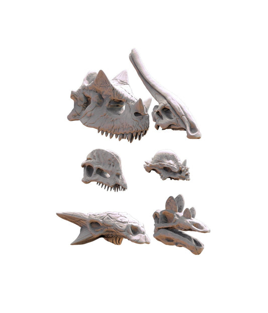 Dinosaur Skulls Kit | Unit Fillers and Terrain | Lost Kingdom Miniatures | Warhammer | RPG | DnD | Table Top Gaming | Buildings and Terrain