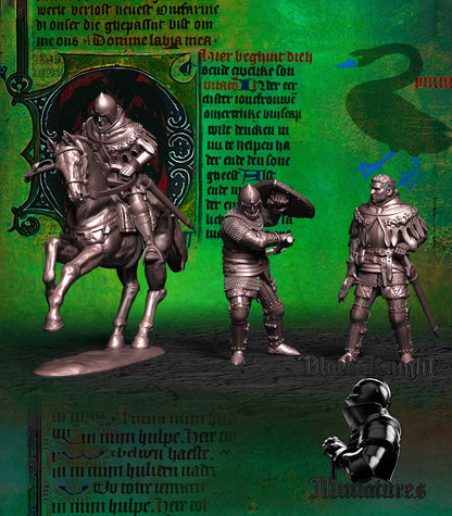 Hero of Skalitz, the three versions from the left side, Black Knight Miniatures render