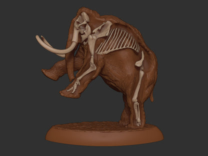 Partially Skeletal Wooly Mammoth | 3 Poses | Extinct Animals | Limelight Miniatures