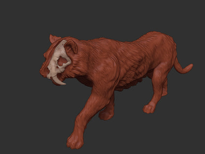 Partial Skeleton Sabretooth Tiger | Extinct Animals | Limelight Miniatures