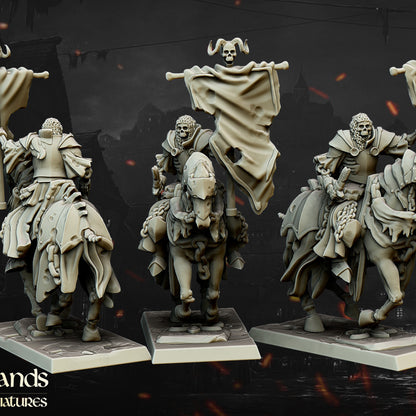 Undead Dark Knight standard bearer