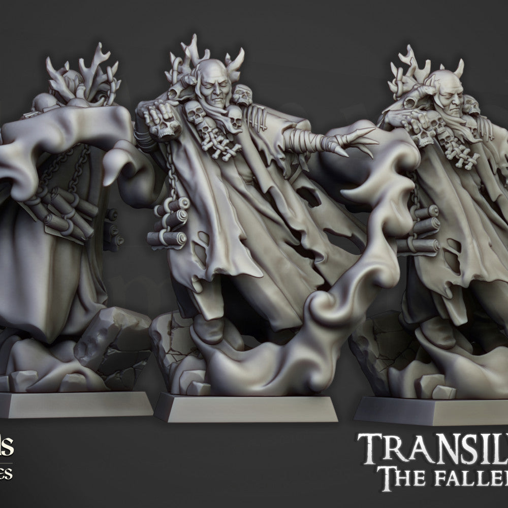 Necromancer on foot miniature by Highlands Miniatures