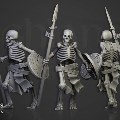 Skeleton spearman single model
