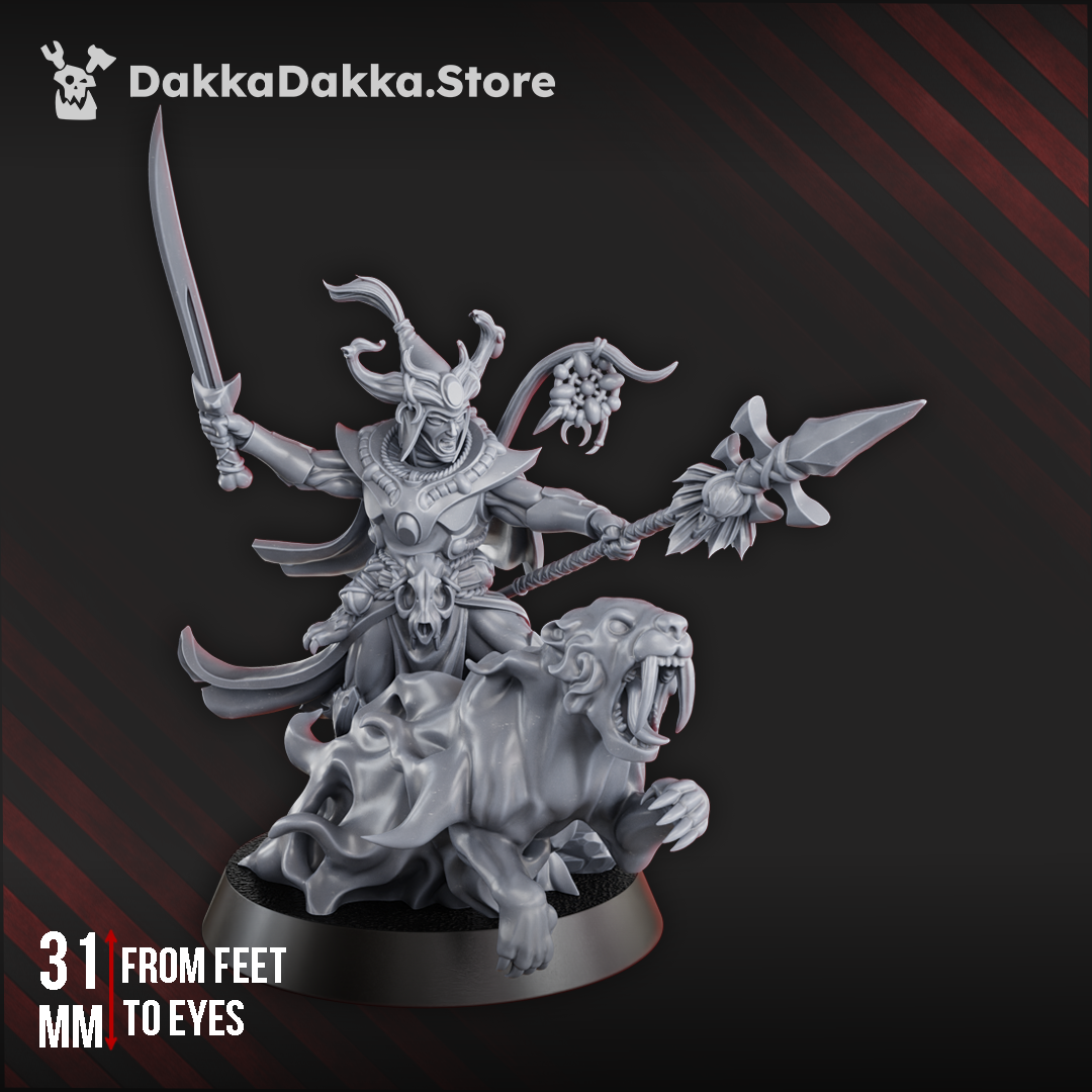 Spacelair Commander | Spacelair Anchorites | Dakka Dakka