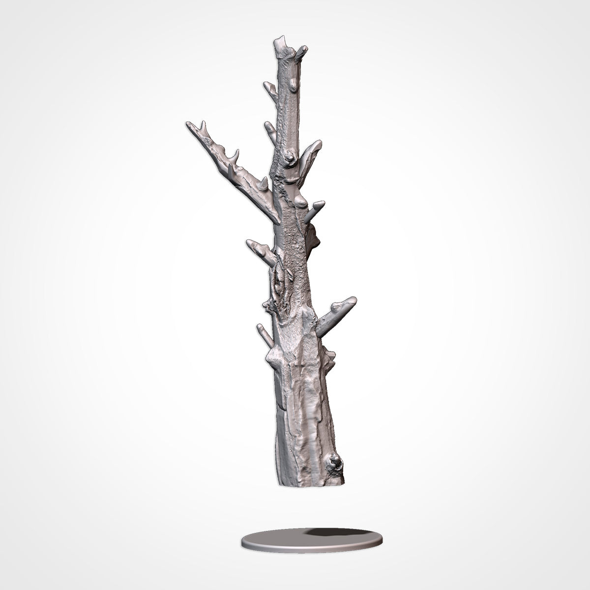 Dead Forests