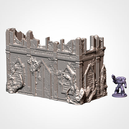 Standard Sized Competitive Ruins - Tournament Friendly (Infected)