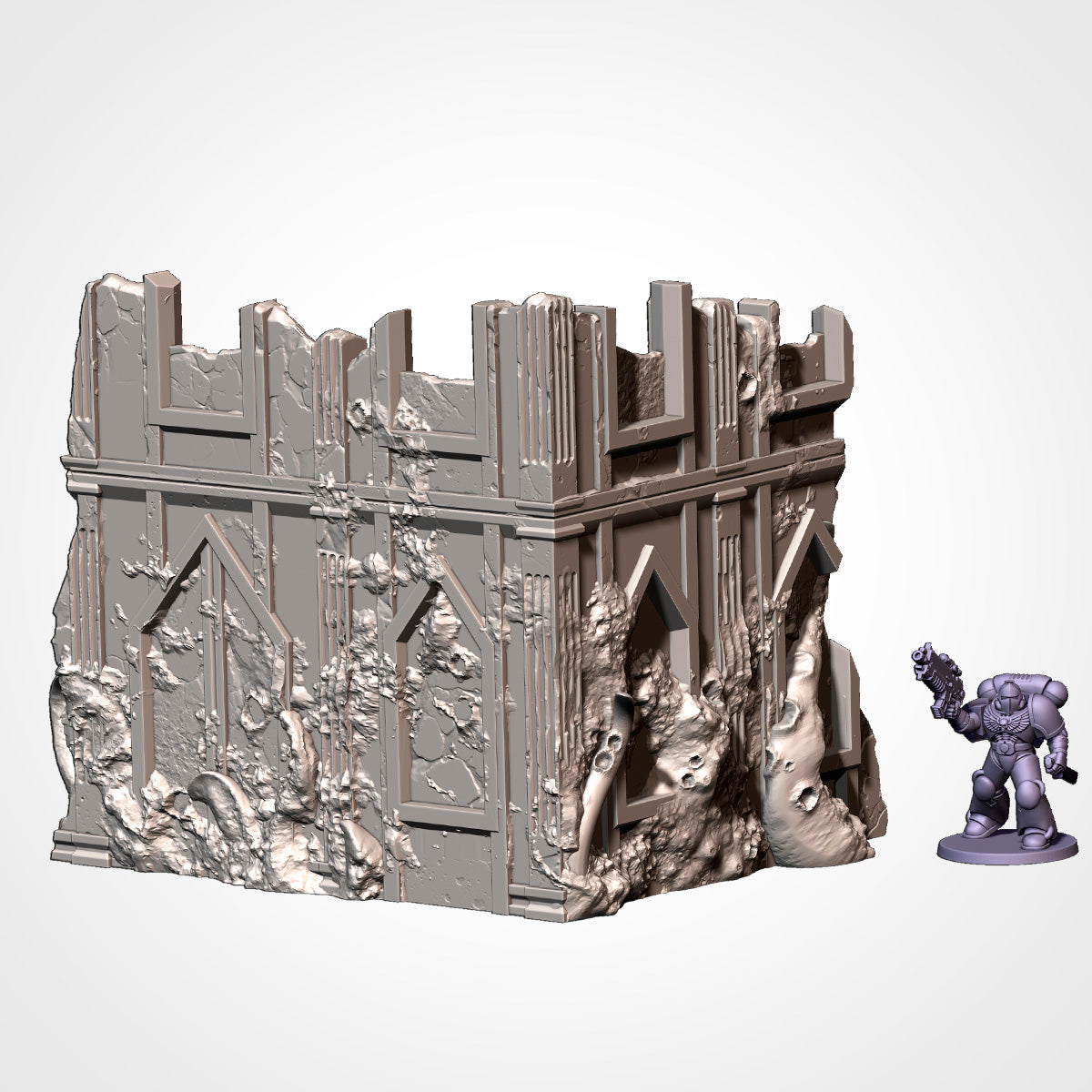 Standard Sized Competitive Ruins - Tournament Friendly (Infected)