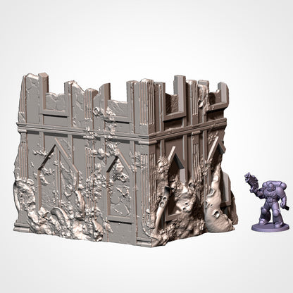 Standard Sized Competitive Ruins - Tournament Friendly (Infected)