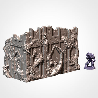 Standard Sized Competitive Ruins - Tournament Friendly (Infected)
