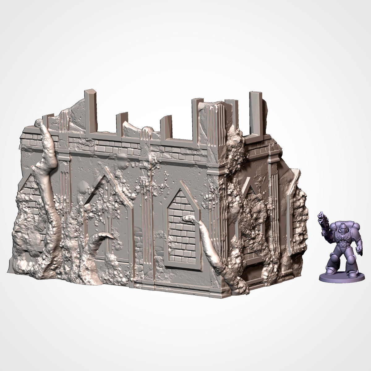 Standard Sized Competitive Ruins - Tournament Friendly (Infected)