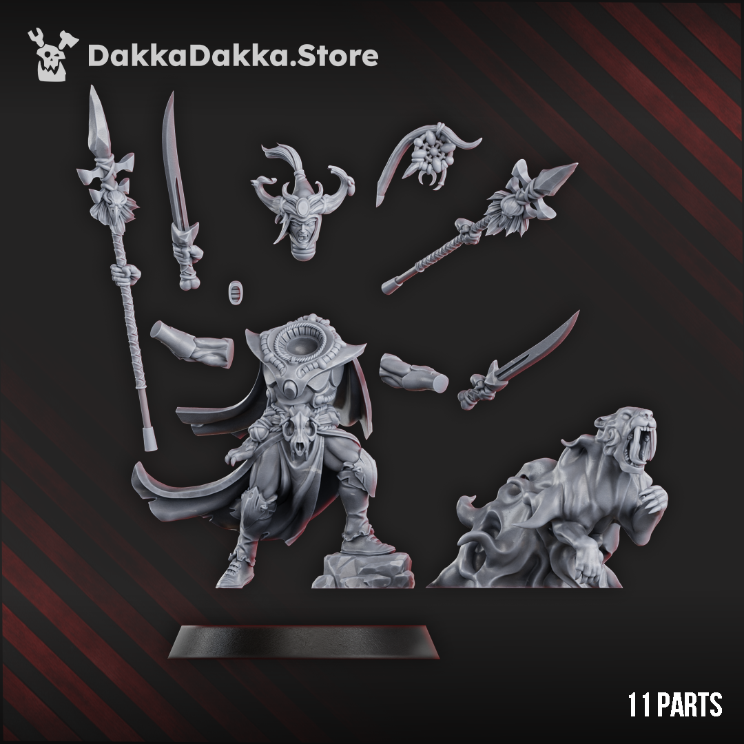 Spacelair Commander | Spacelair Anchorites | Dakka Dakka