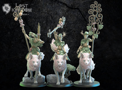 Nibi Riders Command Group, front three-quarter designer render of musician, champion and standard bearer on foxes
