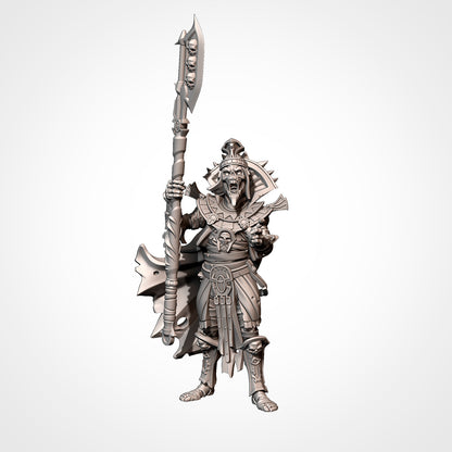 The Big King on Chariot | Txarli Factory | Armies of the Sands