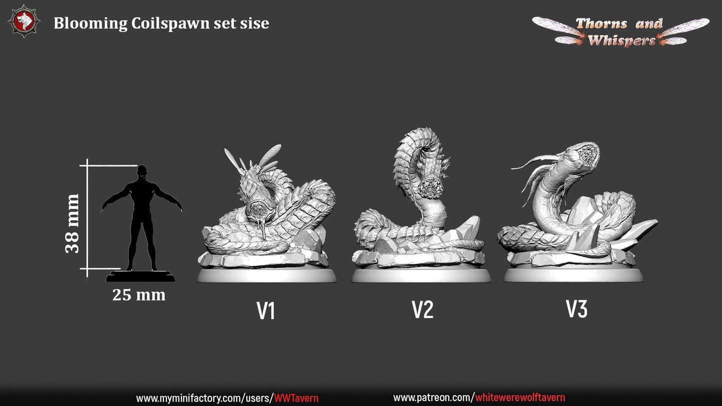 Blooming Coilspawn dimension sheet, three 32mm sculpts labeled V1 to V3 at 38mm height with scale silhouette