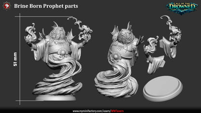 Render of Brine Born Prophet | 32mm Fishfolk Cult Priest Miniature: Robed fish-headed cult prophet with sea-magic swirling from raised claws, from White Werewolf's Call of the Drowned. 32mm 3D printed resin miniature.