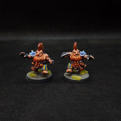 Classic Dwarfs Team