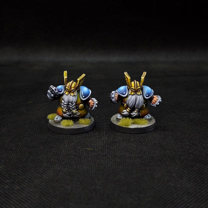 Classic Dwarfs Team