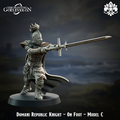 Domani Republic Knights - On Foot | Domani Republic | The Printing Goes Ever On