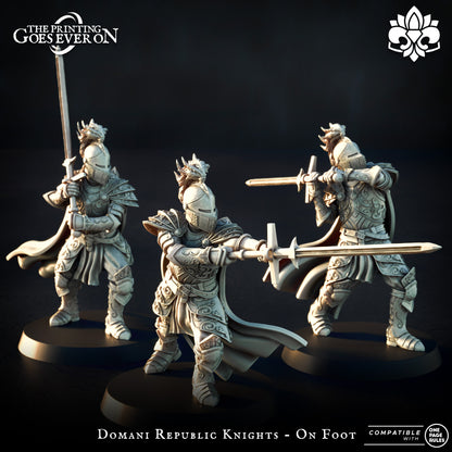 Domani Republic Knights - On Foot | Domani Republic | The Printing Goes Ever On