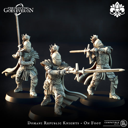 Domani Republic Knights - On Foot | Domani Republic | The Printing Goes Ever On
