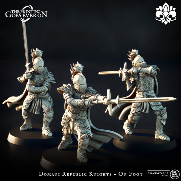 Domani Republic Knights - On Foot | Domani Republic | The Printing Goes Ever On