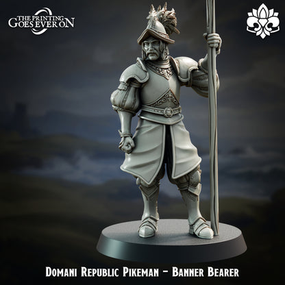 Pikemen Set | Domani Republic | The Printing Goes Ever On