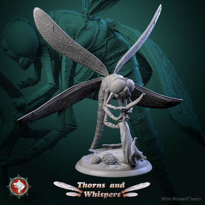 Dragonfly Model 6, 32mm dragonfly miniature bent over a curled root with tail raised