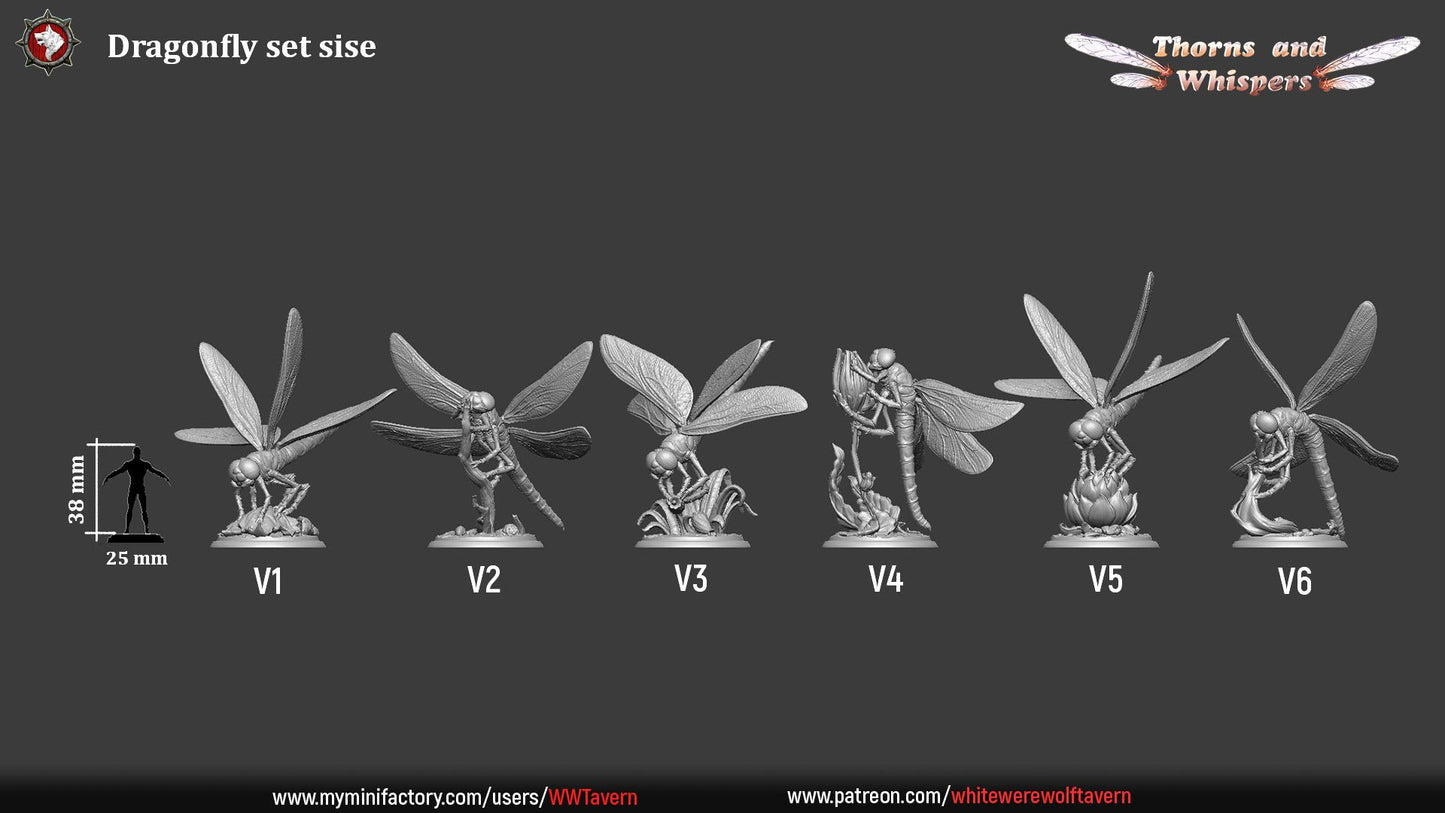 Dragonfly set dimension sheet, six 32mm sculpts labeled V1 to V6 at 38mm height with scale silhouette