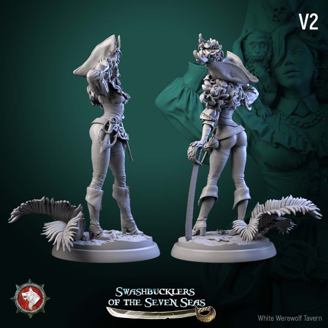 Render of Elisa Stormbreaker | 32-75mm Female Pirate Captain Miniature: Female pirate captain with plumed skull tricorn, shoulder monkey, and sword, from White Werewolf's Swashbucklers of the Seven Seas. 32-75mm printed resin.