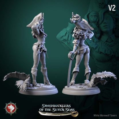 Render of Elisa Stormbreaker | 32-75mm Female Pirate Captain Miniature: Female pirate captain with plumed skull tricorn, shoulder monkey, and sword, from White Werewolf's Swashbucklers of the Seven Seas. 32-75mm printed resin.