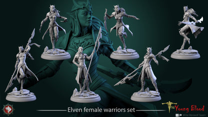 Elven Female Warriors Set | The Young Blood | White Werewolf Tavern