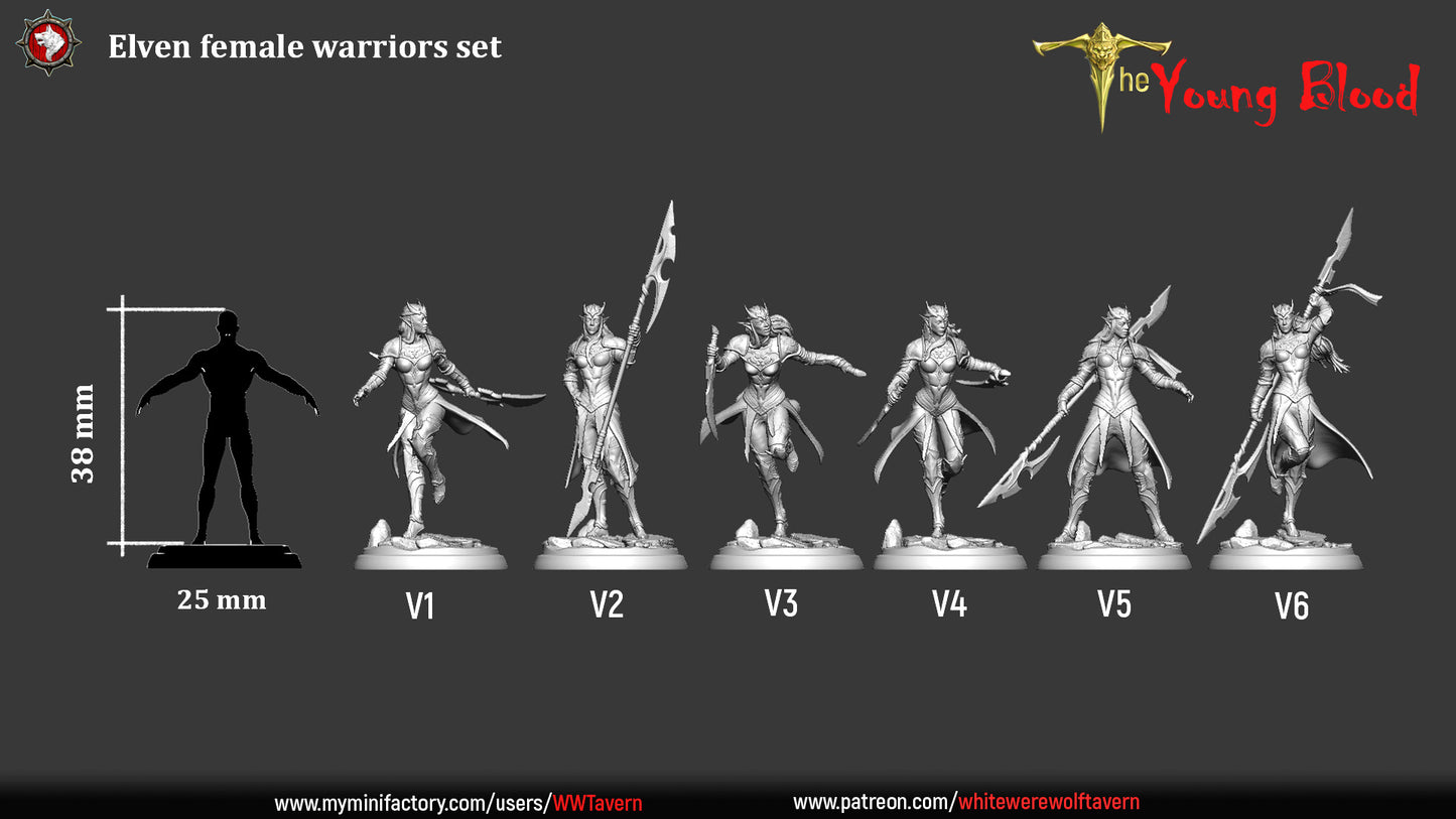 Elven Female Warriors Set | The Young Blood | White Werewolf Tavern