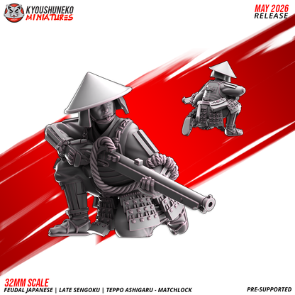 Late Sengoku Ashigaru Musketmen