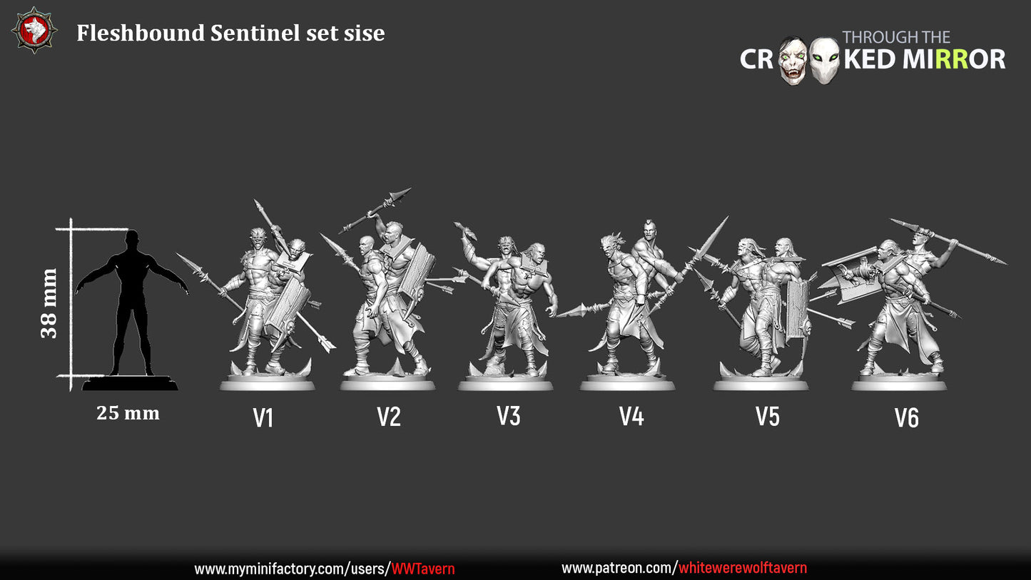 Fleshbound Sentinels Set | Through the Crooked Mirror | White Werewolf Tavern