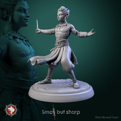 Halfling Monks Set | Small But Sharp | White Werewolf Tavern