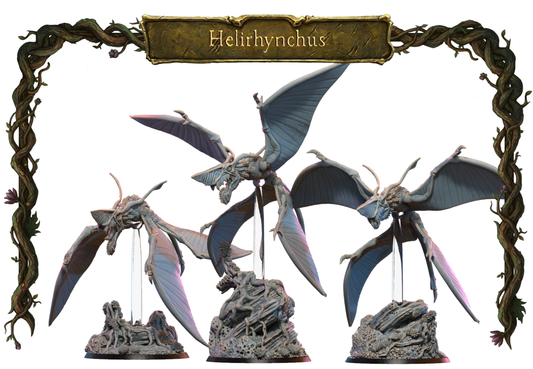 Helirynchus