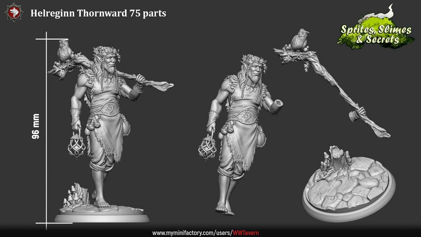 Render of Helreginn Thornward | 32-75mm Forest Sentinel Miniature: Wild-man forest sentinel with driftwood club, bird companion, and woven lantern, from White Werewolf's Sprites, Slimes and Secrets. 32-75mm resin.