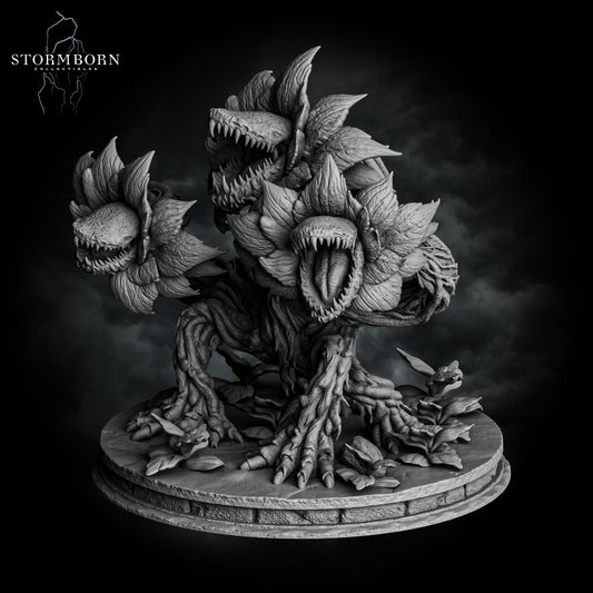 Hydra Bloom